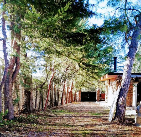 La Cabana De Piedra Ruidera Esterno foto